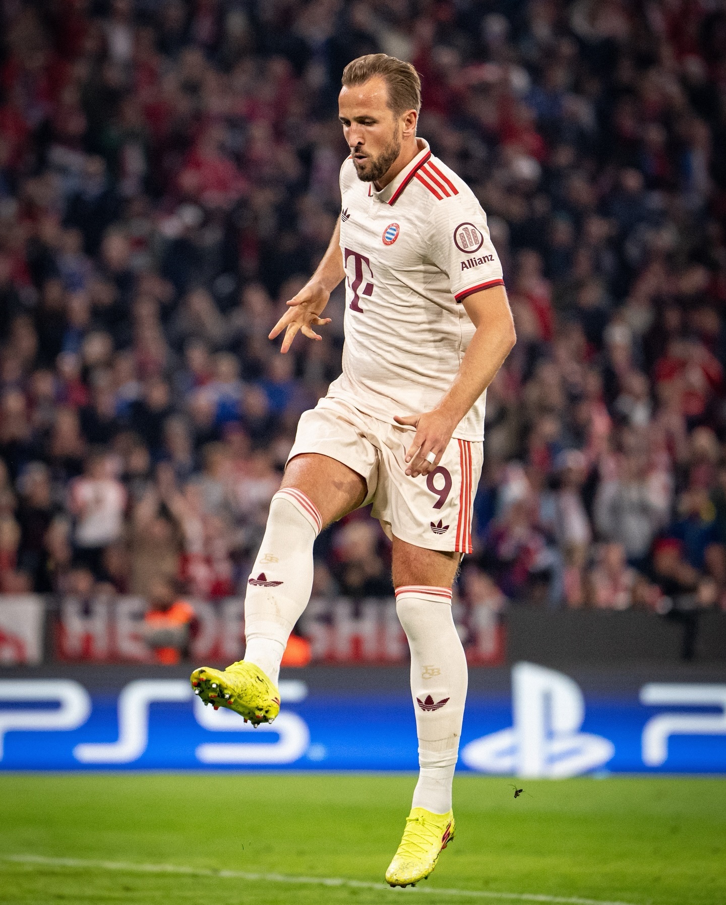 包含拜仁轻取智利，卡塞米罗惊艳世界的词条