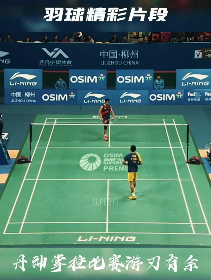 法国羽毛球队翻盘泰国羽毛球队，林丹关键制胜的简单介绍