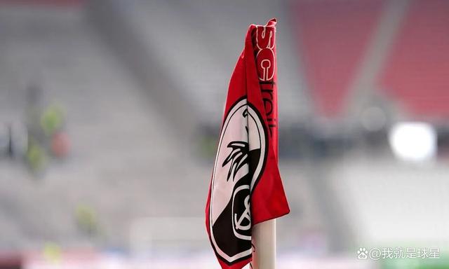 关于弗赖堡表现出色，继续向欧战资格冲刺的信息