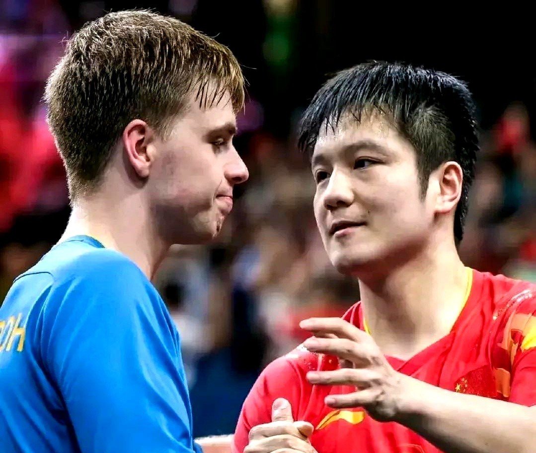 德国乒乓球队轻取比利时乒乓球队，波尔制霸全场的简单介绍