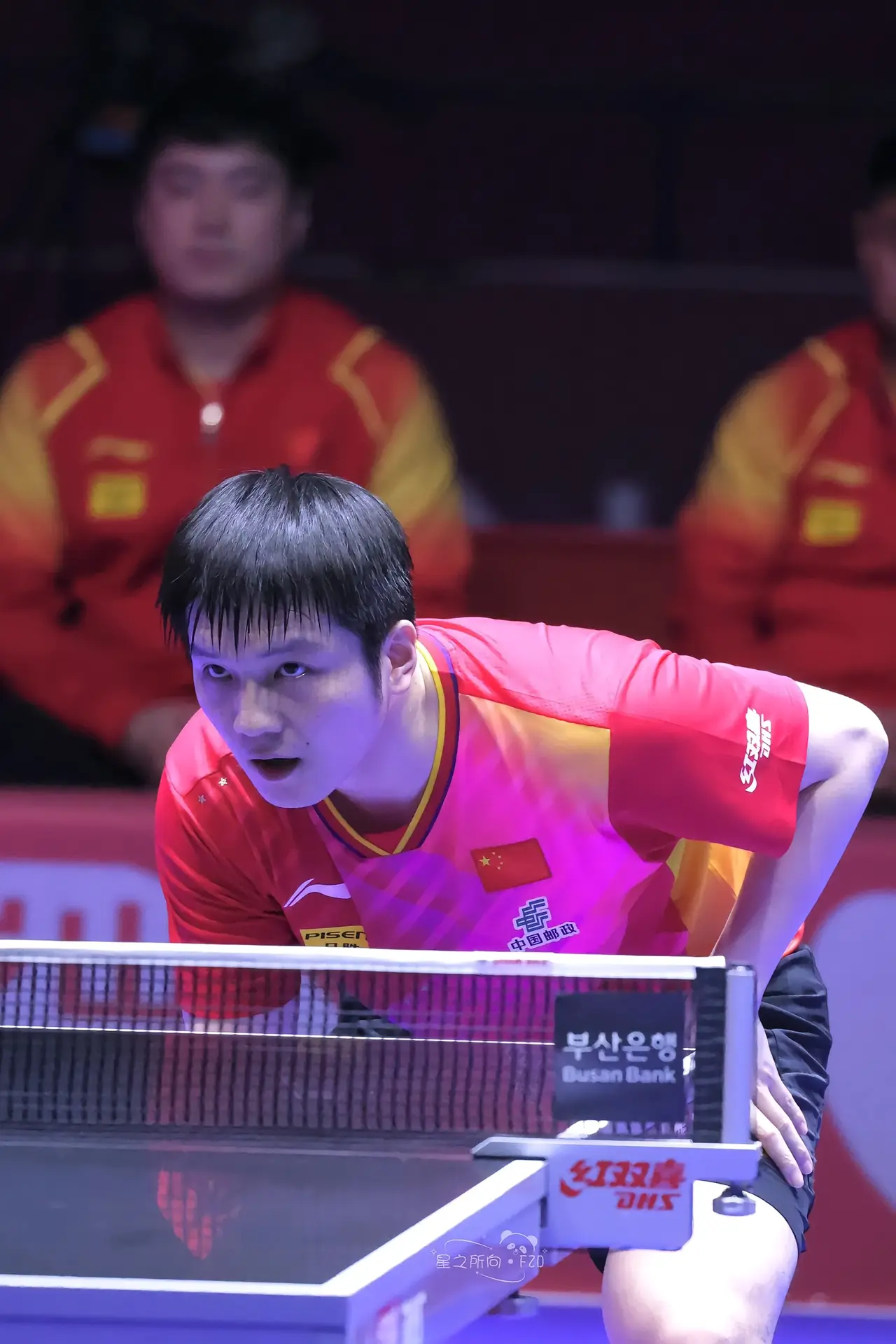 关于瑞典乒乓球队绝杀英国乒乓球队，张继科爆发神勇的信息