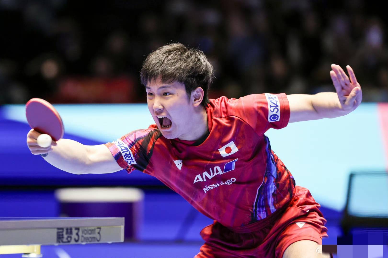 日本队险胜韩国队，张本智和关键制胜的简单介绍