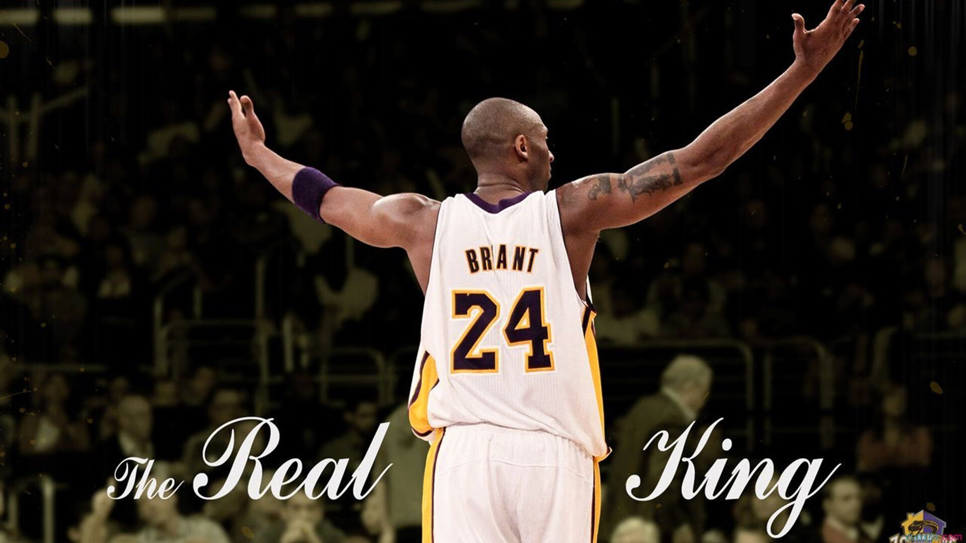 贝恩让比赛提前失去悬念，猛龙收割开拓者