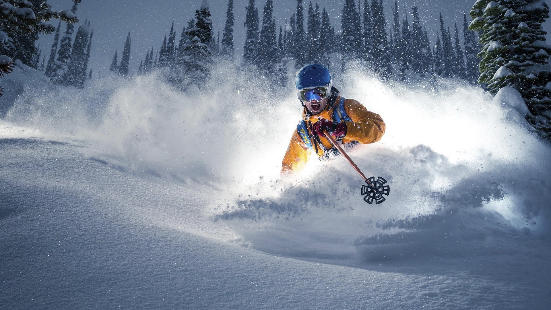 德州烽火燃上海,当欧洲天才的孤勇,撞上休斯顿的团队执念